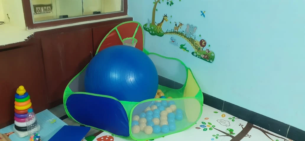 Sensory and Motor Coordination Corner