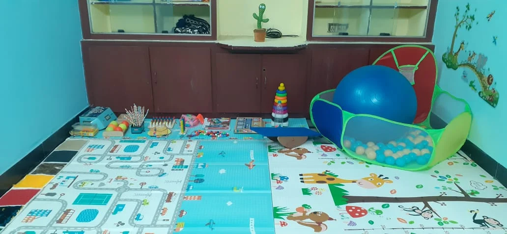 Comprehensive Pediatric Therapy Layout Room